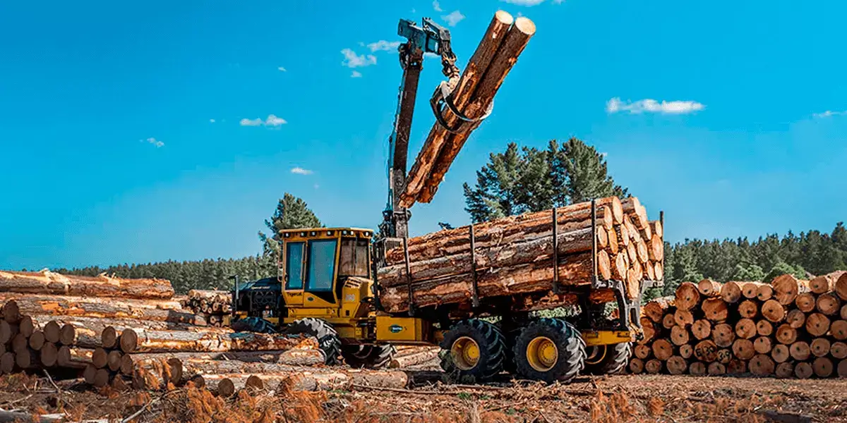 Máquina Florestal - Forwarder